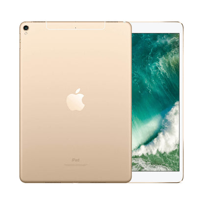 iPad Pro 10.5 Inch 256GB WiFi & Cellular Gold Sehr Gut Ohne Vertrag