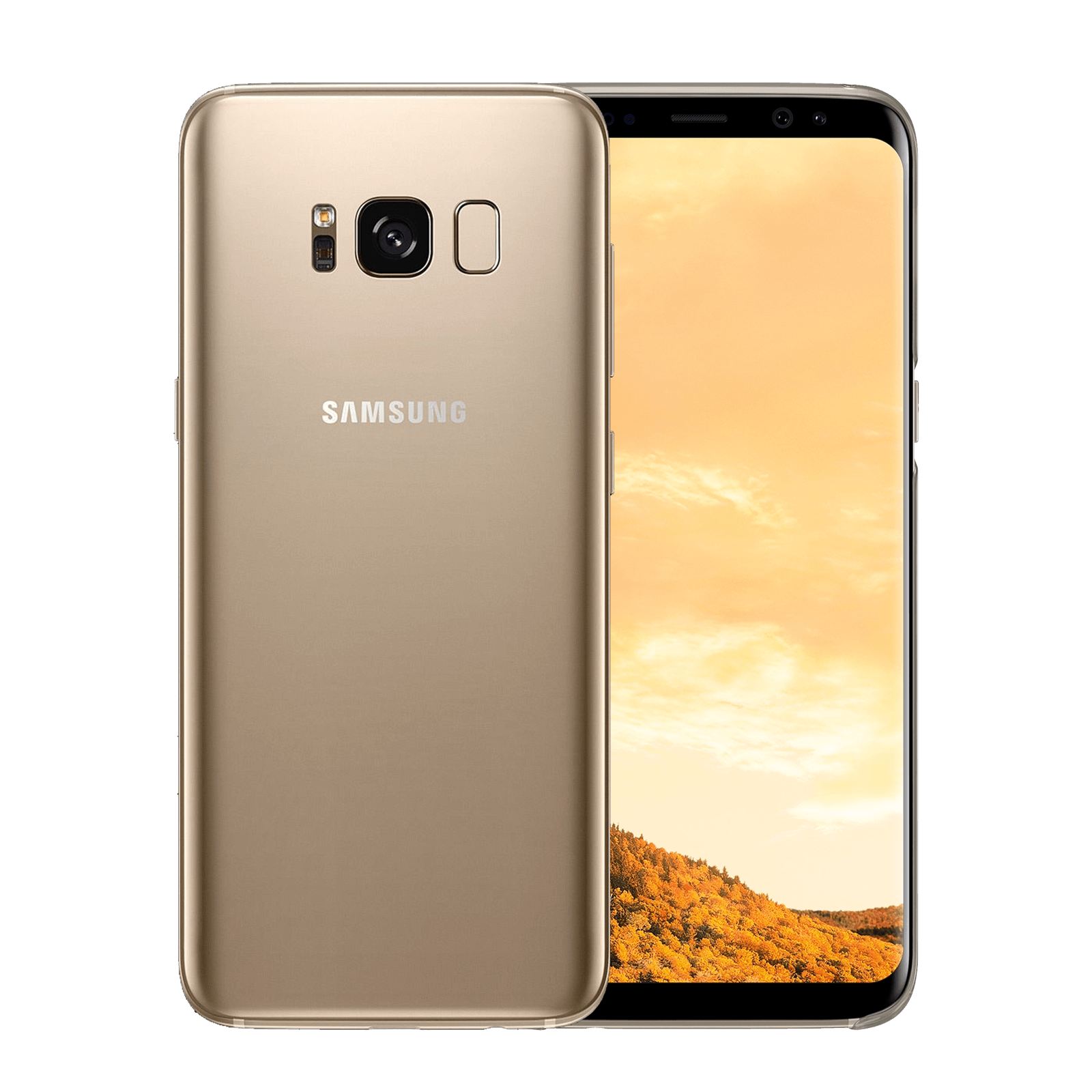Samsung Galaxy S8 64GB Gold Überholt freigeschaltet